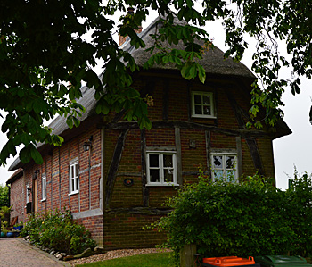 The Cottage June 2013